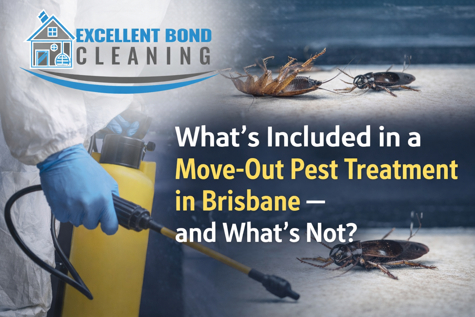 What's Included in a Move-Out Pest Treatment in Brisbane & What's Not?